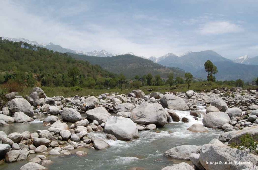 Here are the best places to visit in Palampur for a lovely stay