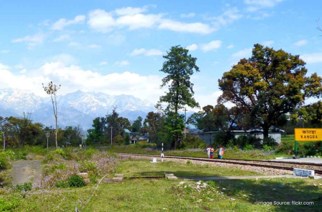 Here are the best places to visit in Palampur for a lovely stay