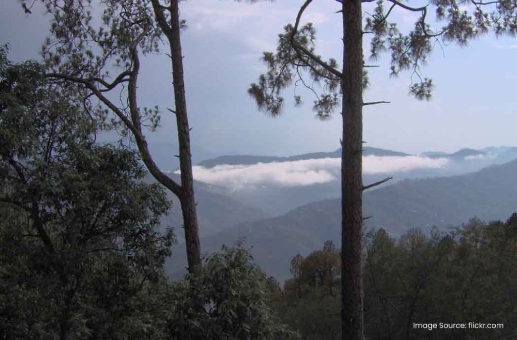 Check out the best places to visit in Ranikhet for a wonderful time