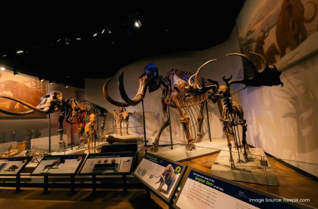 Places to visit in Port Blair