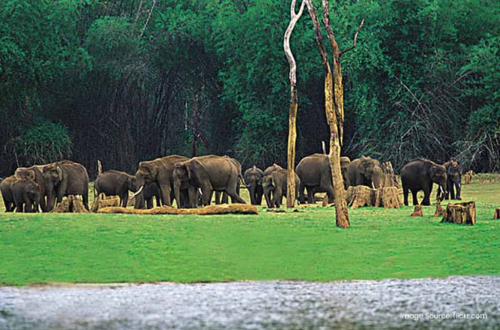 Belghar Sanctuary is one of the best places to visit in Belghar Sanctuary.