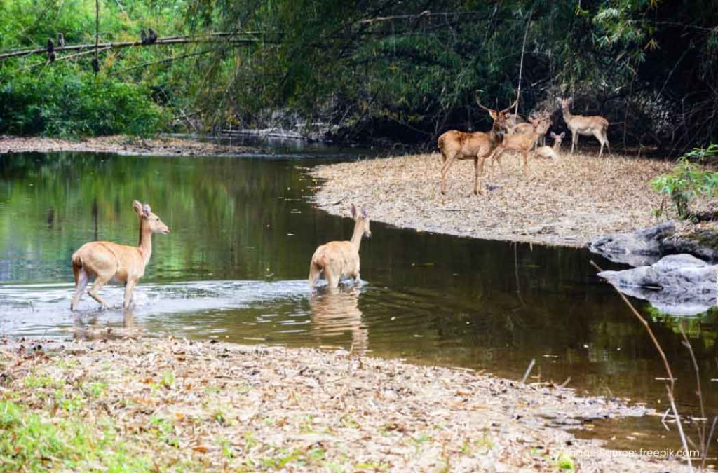 Places to visit in Port Blair