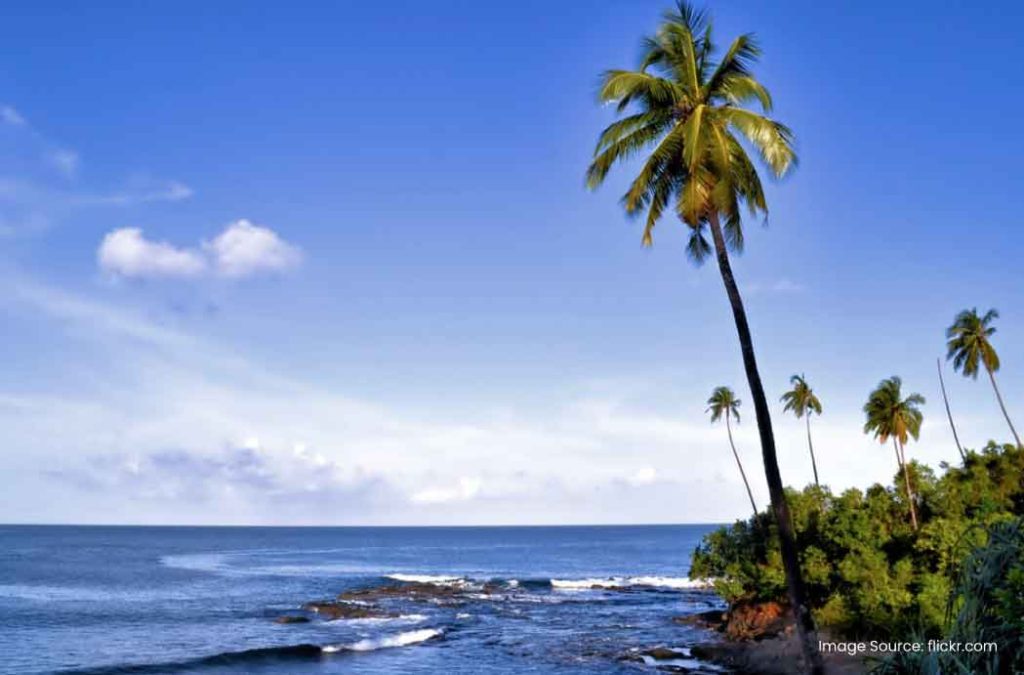 Places to visit in Port Blair