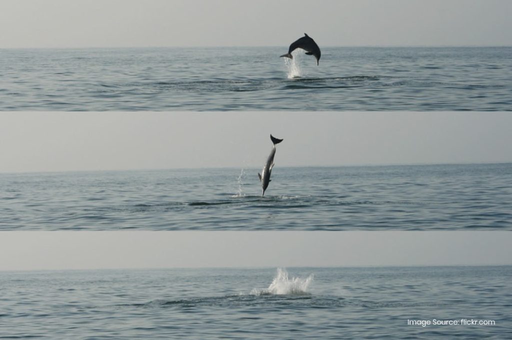 Here are the top-notch places to visit in Malvan for a beachside vacation