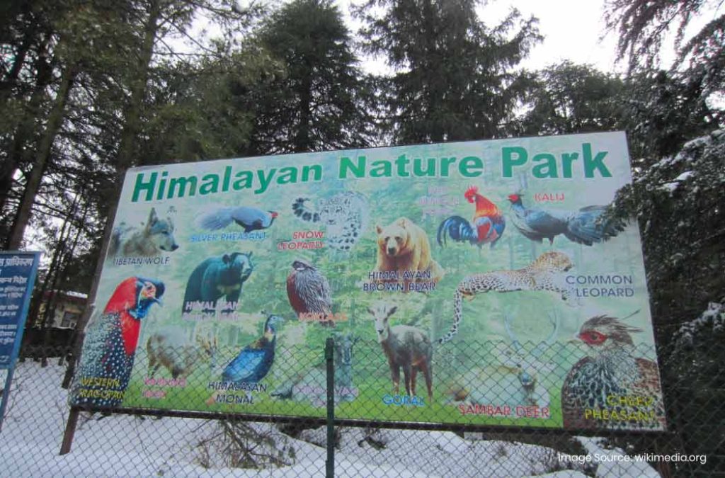 Check out the best places to visit in Kufri for the ultimate getaway