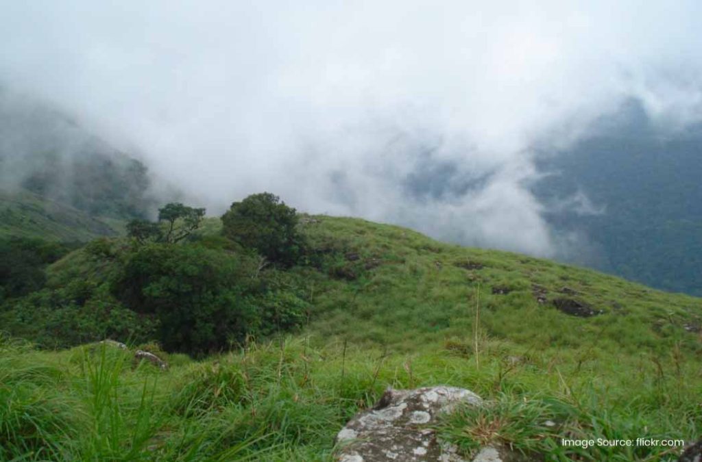 Explore places to visit in Daringbadi for a relaxing getaway.