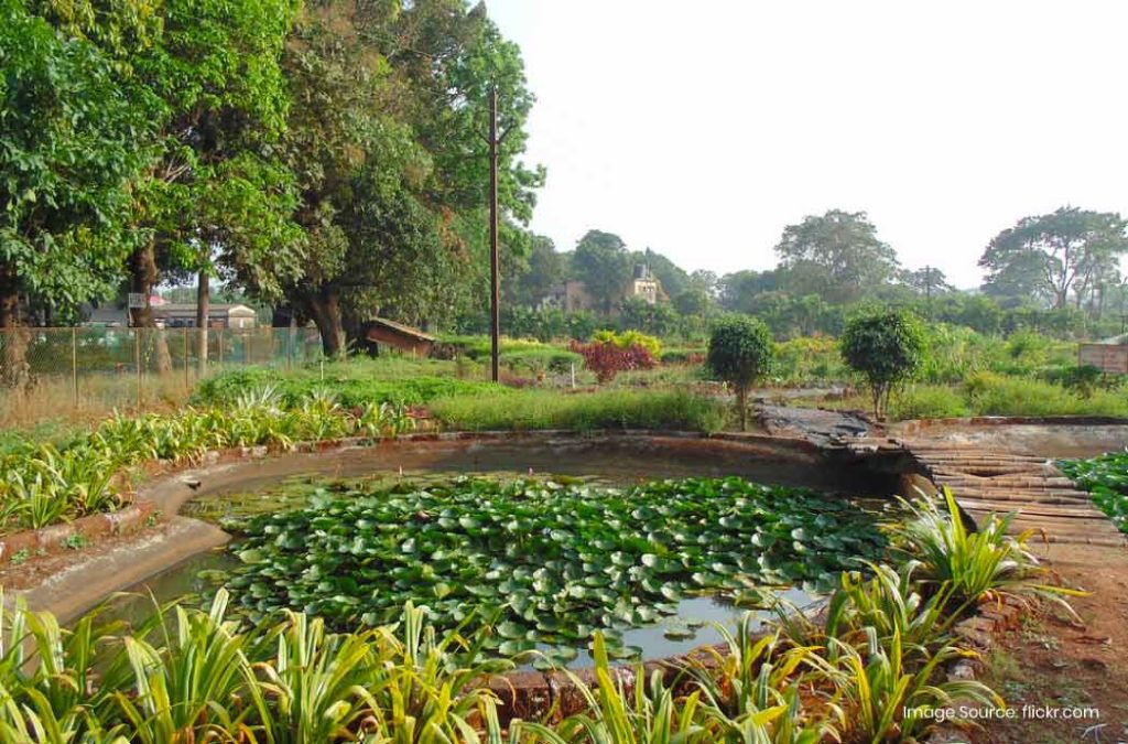 Plan a trip to famous places to visit in Dapoli.