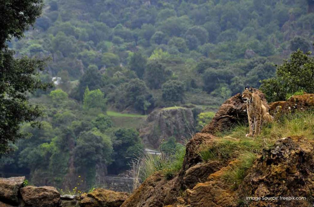 Places to visit in Solan