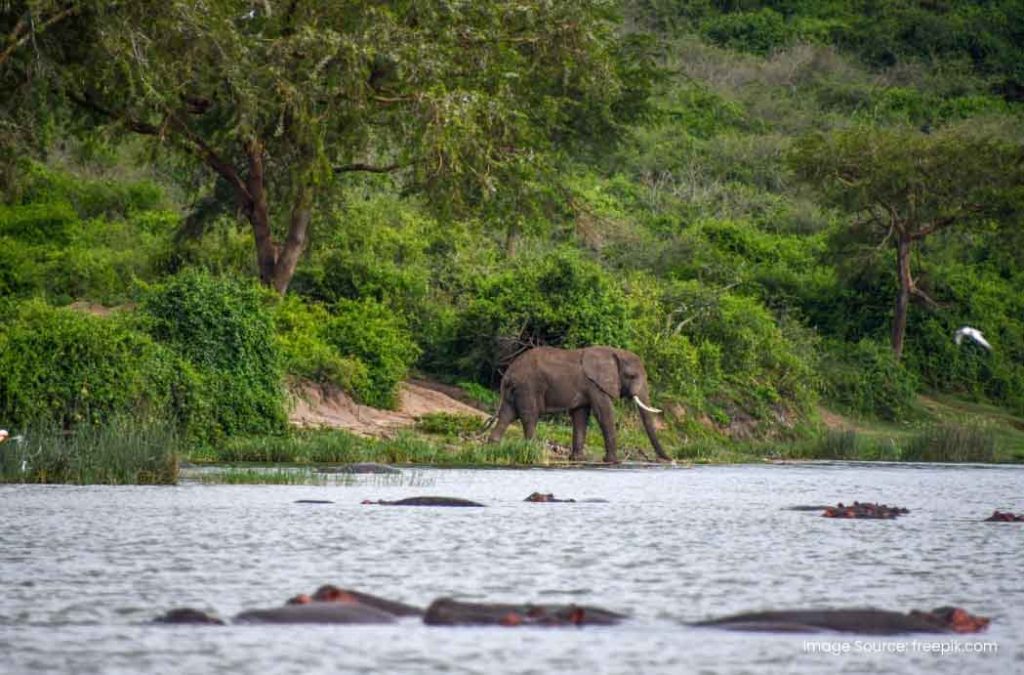 Places to visit in Port Blair