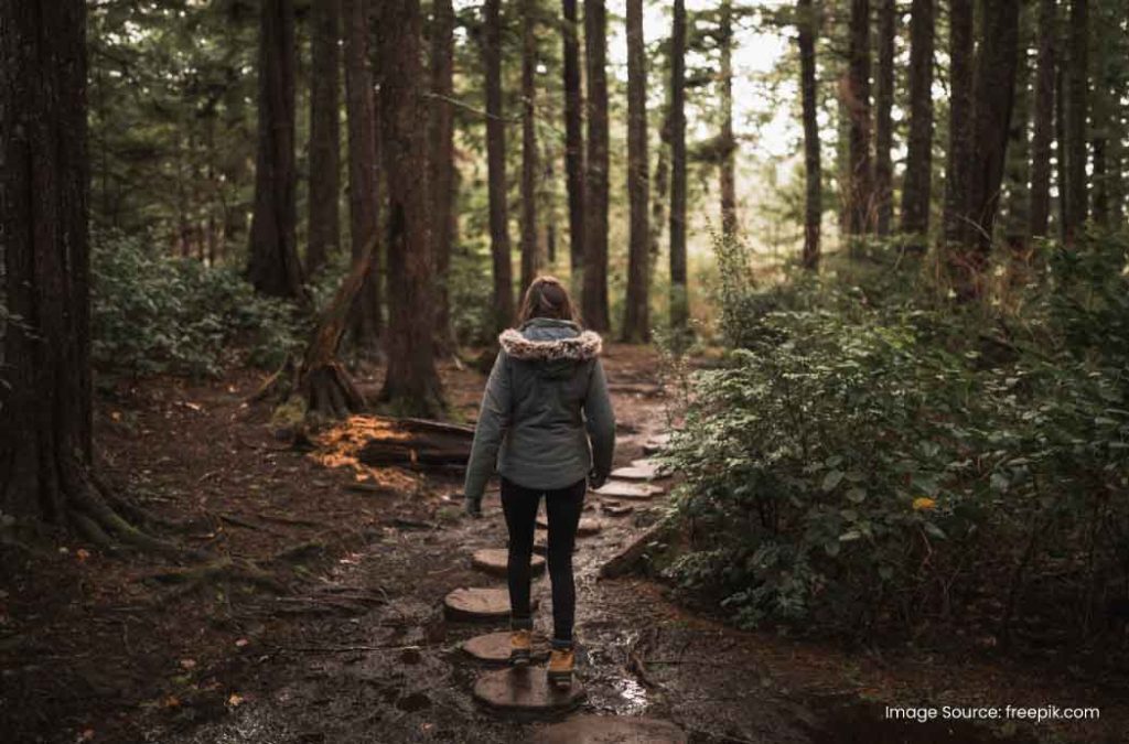 Places to visit in Solan