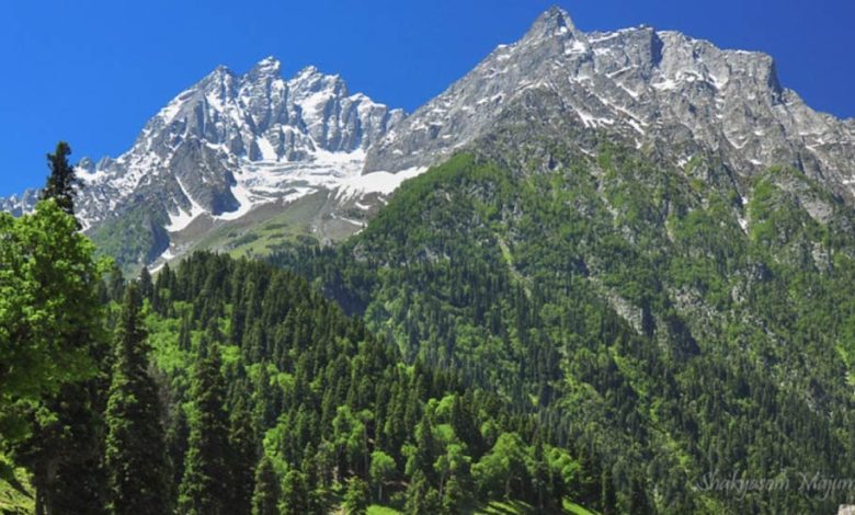 Explore places to visit in Sonamarg.