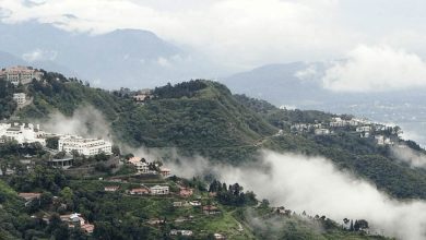 Explore the places to visit in Dhanaulti.
