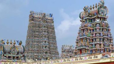 Visit Meenakshi Amman Temple in Madurai.