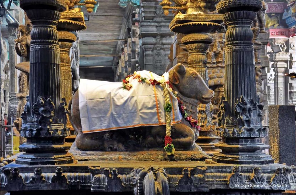 Experience the spirituality at Meenakshi Amman Temple.