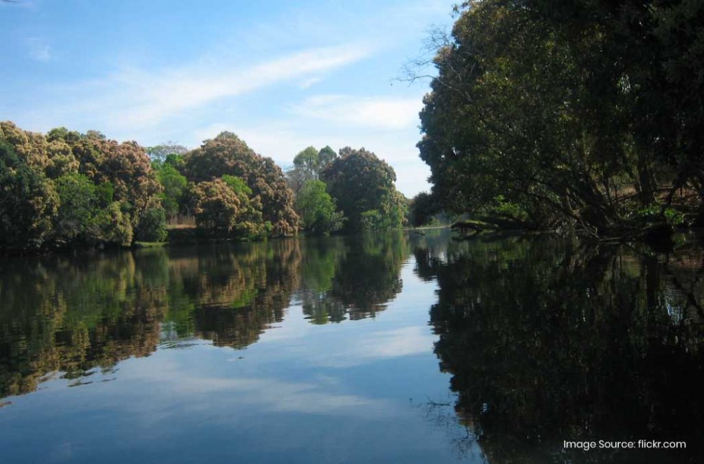 Check out the best places to visit in Kushalnagar for a pleasant journey 