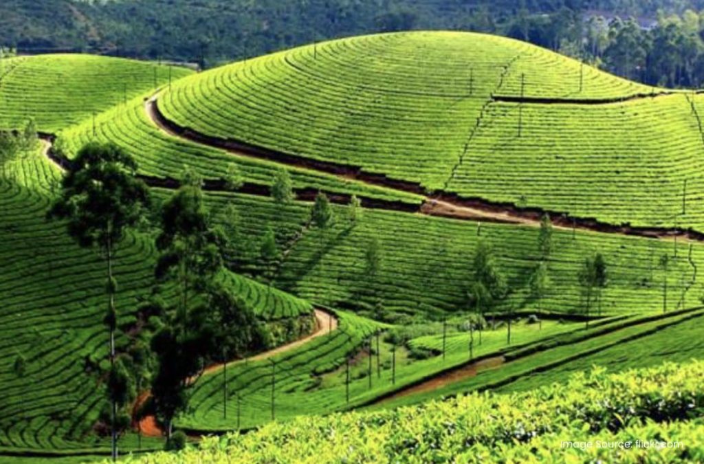 Malakkappara is one of the beautiful hill stations near Athirapally Waterfall.