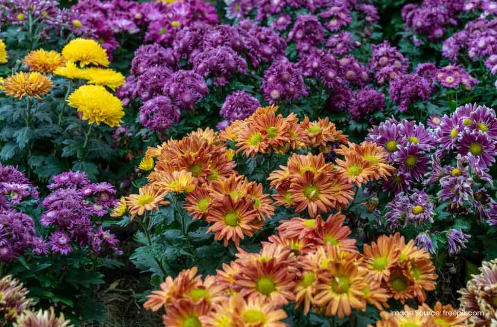 Places to visit in Kolli Hills