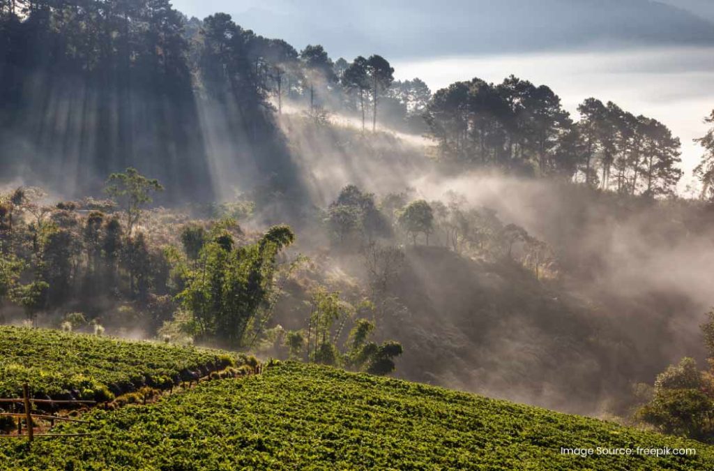 Places to visit in Kolli Hills