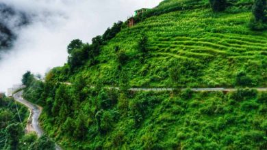 Places to Visit in Kolli Hills