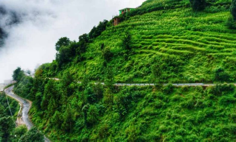 Places to Visit in Kolli Hills