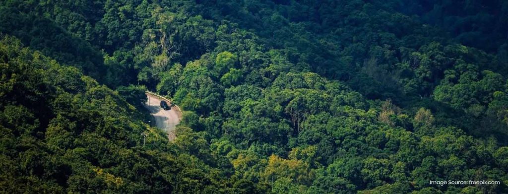 Places to visit in Kolli Hills