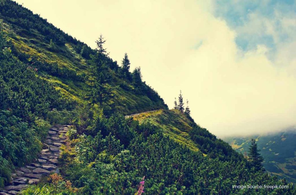 Places to visit in Kolli Hills