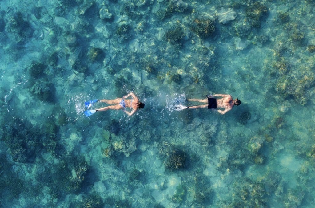 October to February is the best time to visit Kovalam Beach.