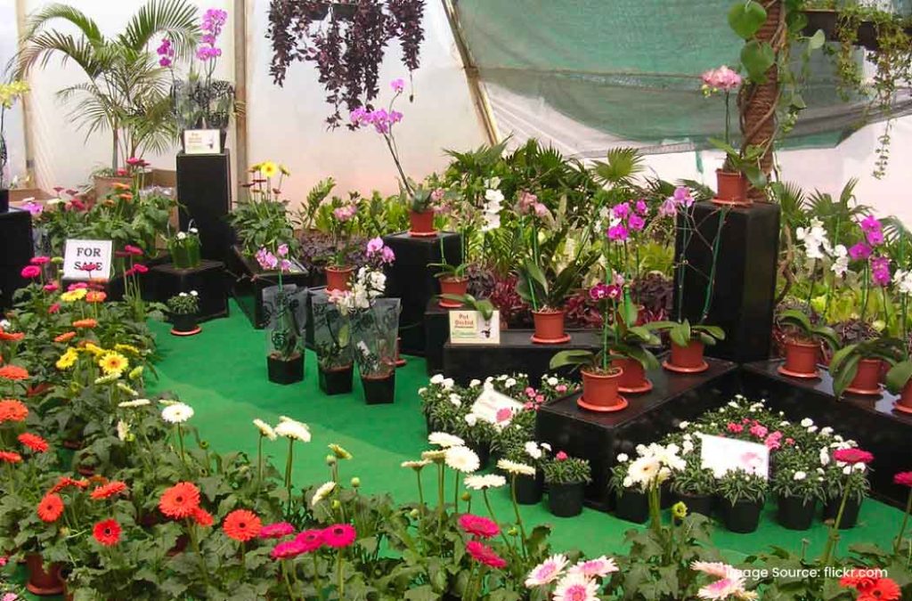 Check out the Mapro Garden guide for the perfect getaway