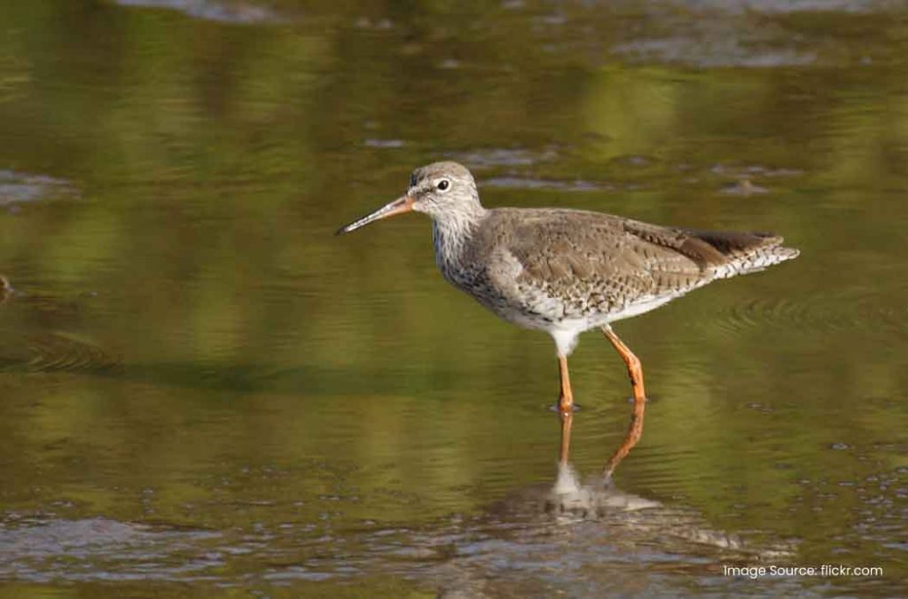 Salim Ali Lake is one of the beautiful   lakes near Bibi Ka Maqbara.