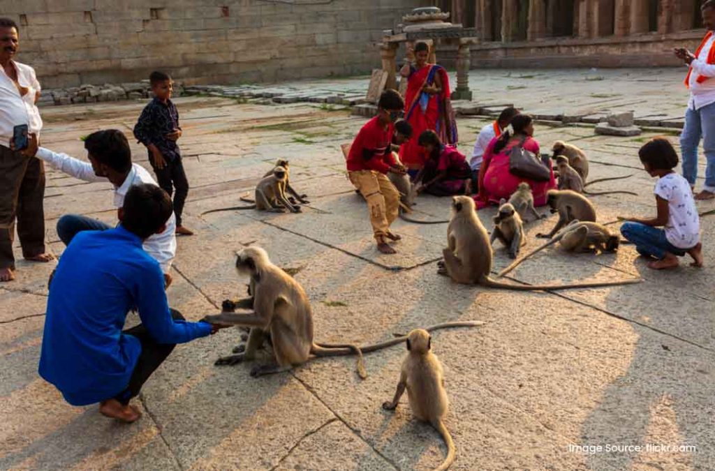 Check this Virupaksha Temple guide for your travel journey