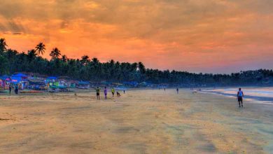 Palolem Beach is one of the famous beaches in Goa.