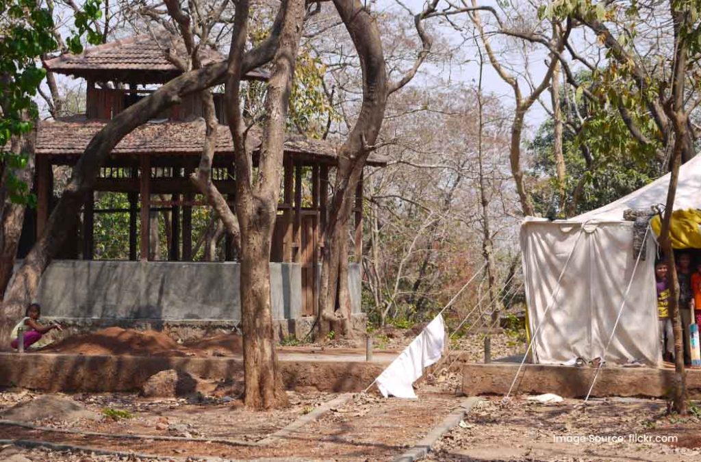 Phansad Wildlife Sanctuary is one of the beautiful places to visit near Kashid Beach.