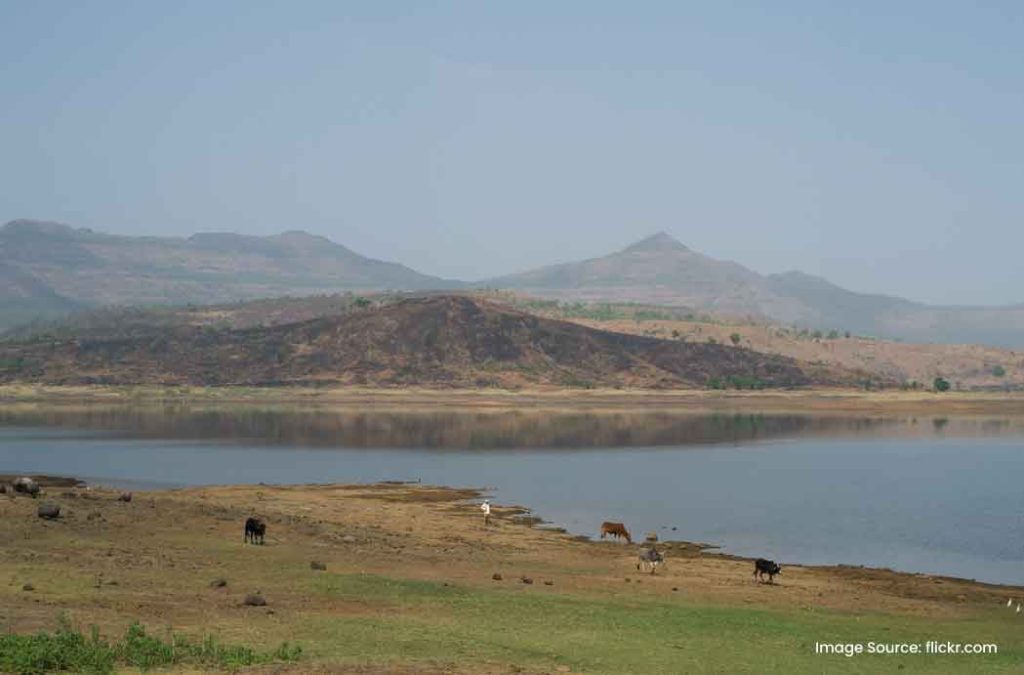 Here is the perfect pawna lake camping guide for a comfortable journey 