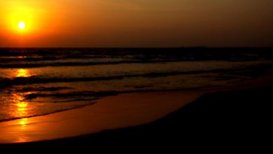 Betalbatim Beach is one of the best places to visit in Goa.