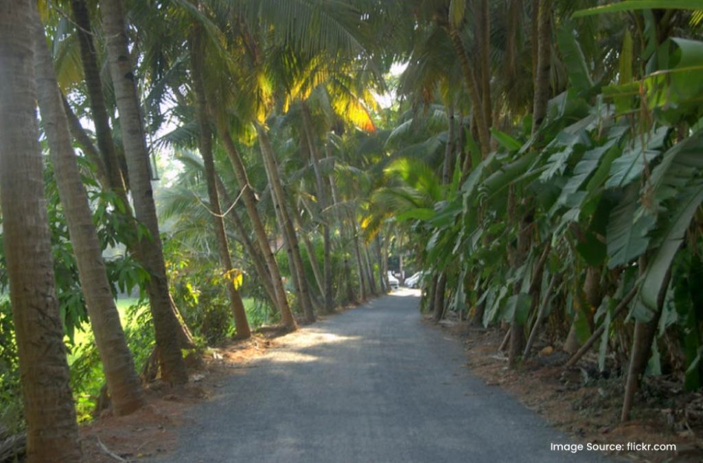 Best Time to Visit Betalbatim Beach is the winter months.