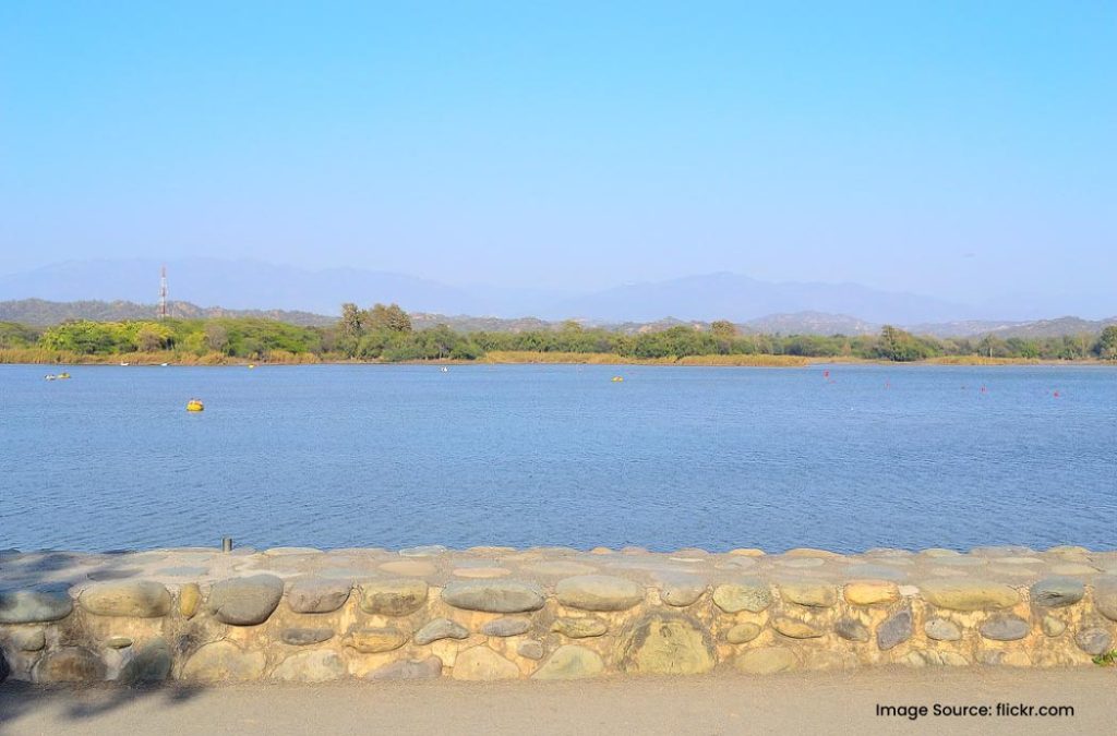 Sukhna Lake is one of the best places to visit near Rock Garden.
