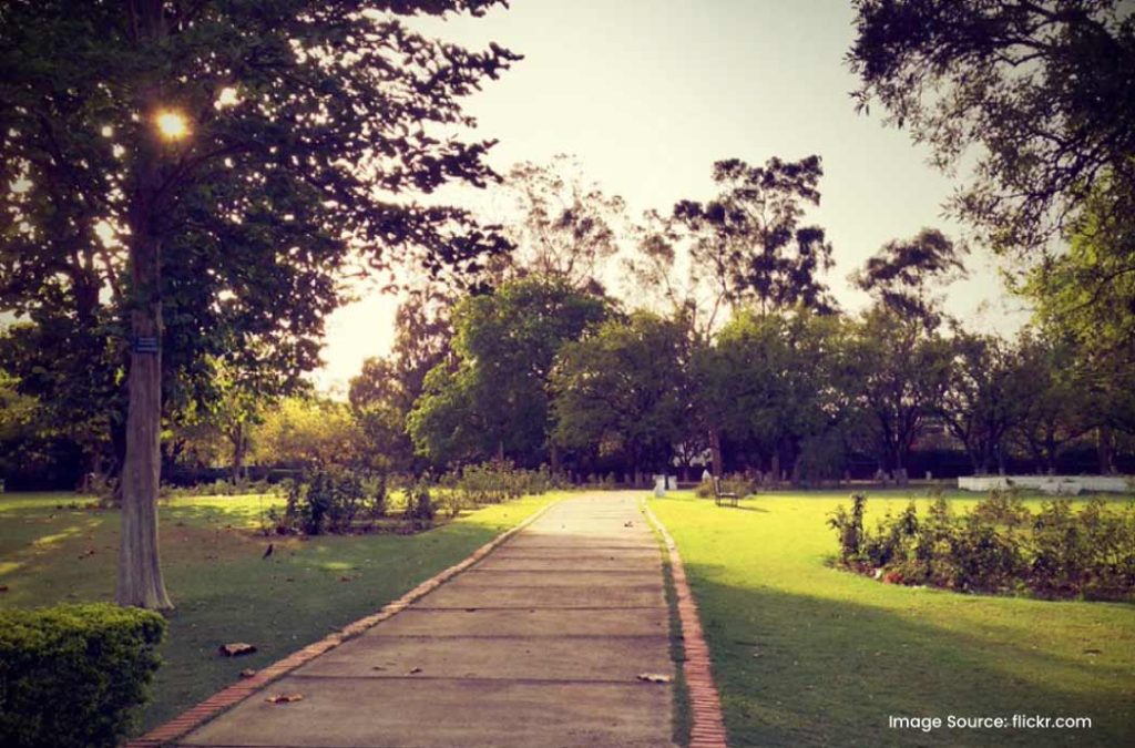 Rose Garden is a beautiful lush garden near Rock Garden.