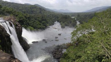 Waterfalls in Kerala