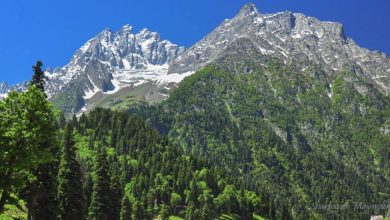 Explore places to visit in Sonamarg.