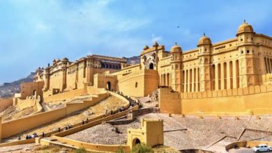Visit Amer Fort, a historic monument in Jaipur.